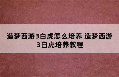 造梦西游3白虎怎么培养 造梦西游3白虎培养教程